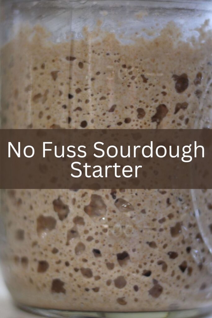 #sourdough starter #easy #quick sourdough starter