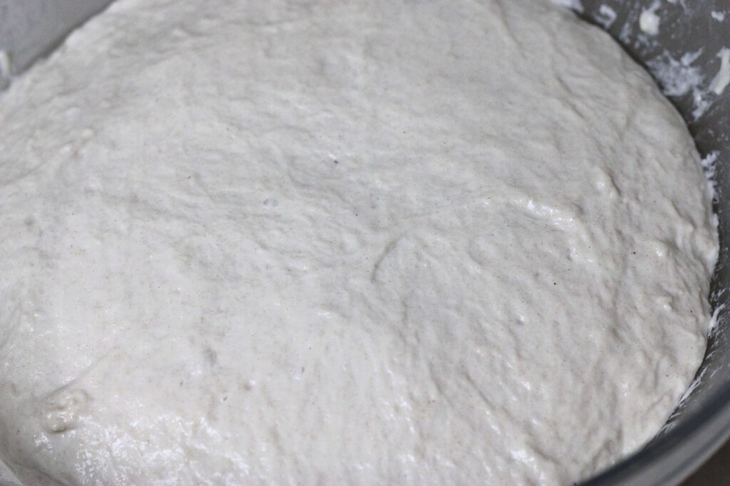 bulk fermented artisan sourdough boule dough