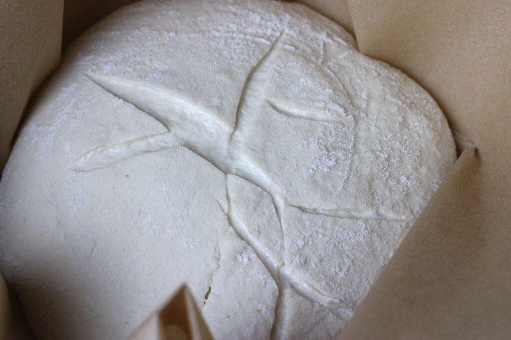 scored artisan sourdough boule ready for oven