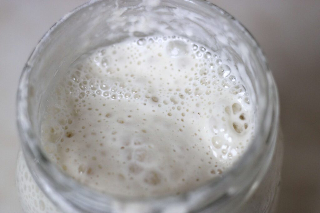 close up of bubbly sourdough starter