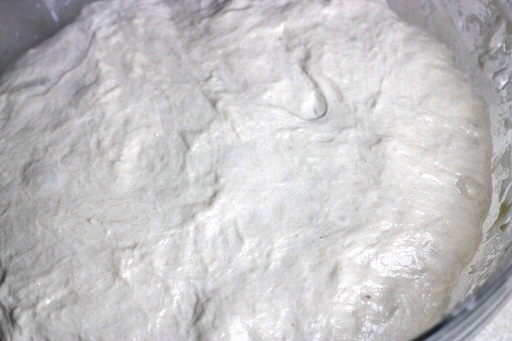 artisan sourdough boule dough after fourth stretch