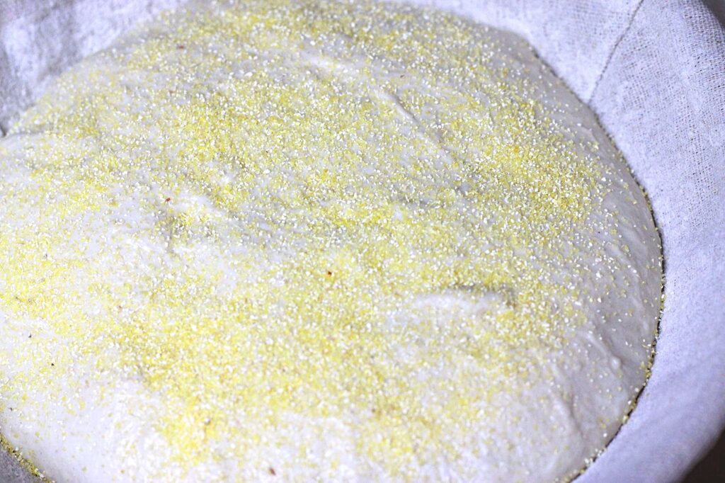 artisan sourdough boule dough sprinkled with corn meal