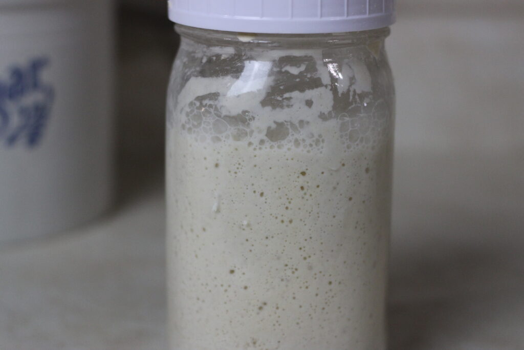 active sourdough starter in mason jar
