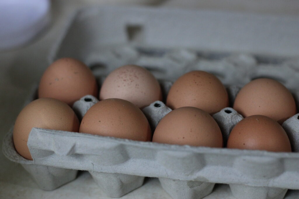 farm fresh brown eggs in carton