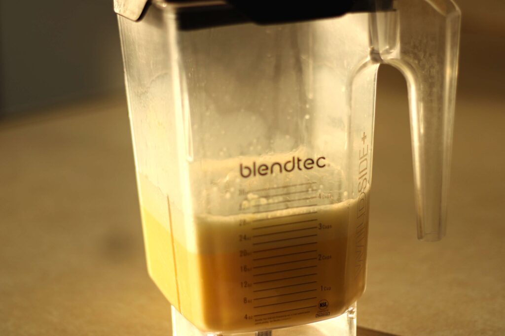 blendtech belnder 
