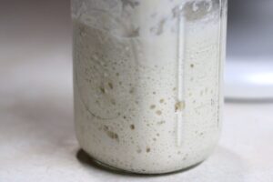 bubbly sourdough starter in a mason jar