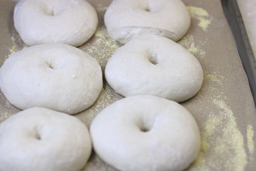 sourdough bagels rising in baking sheet