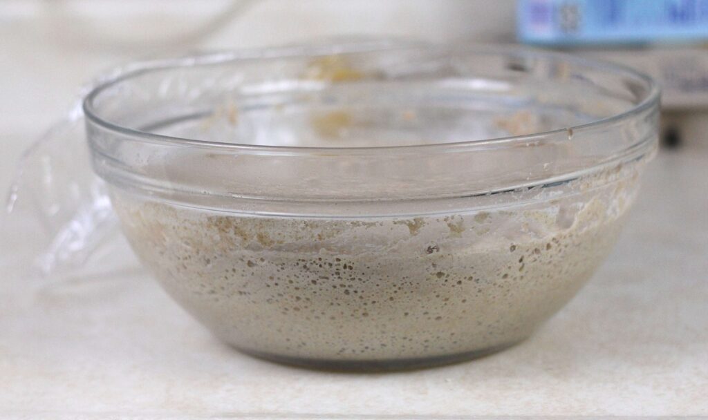 fermented sourdough pancake batter 