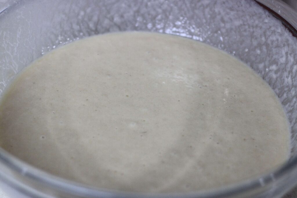 sourdough cake batter 