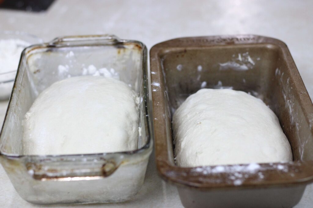 two bread loaves in bread pans ready for second rise