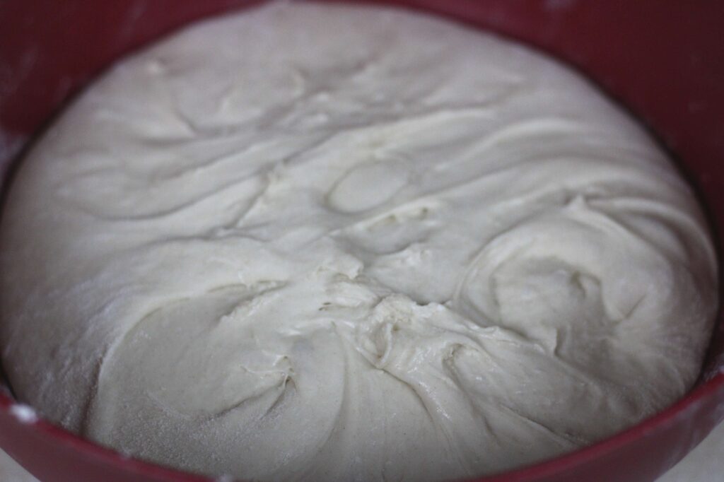 sourdough dough in bowl ready for first rise 