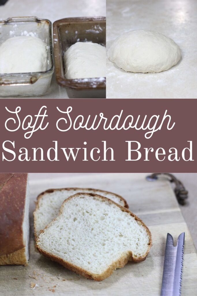 #sourdough bread #sandwich bread 