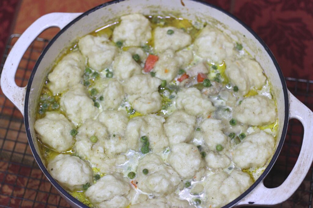 chicken and dumpling soup 