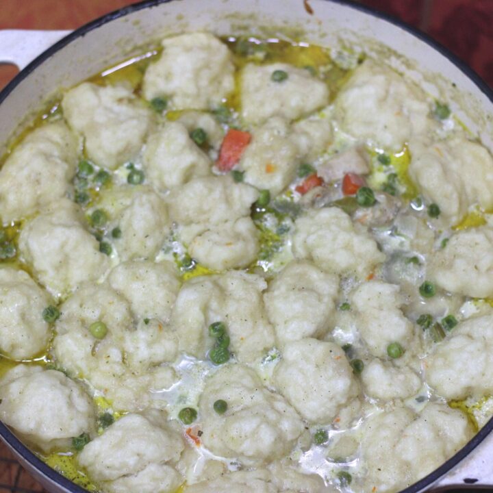 chicken ad dumpling soup