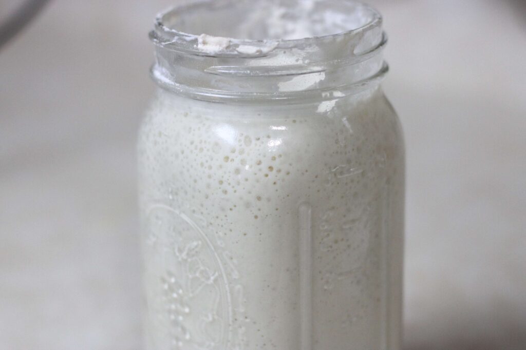 sourdough starter in mason jar 