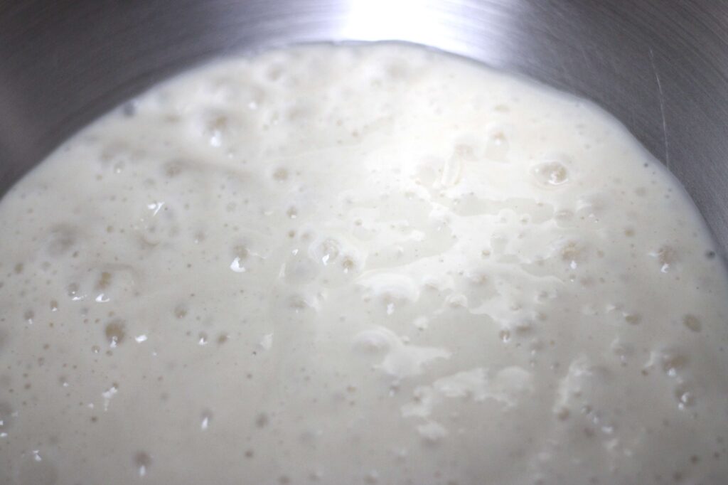 close up of active sourdough starter 
