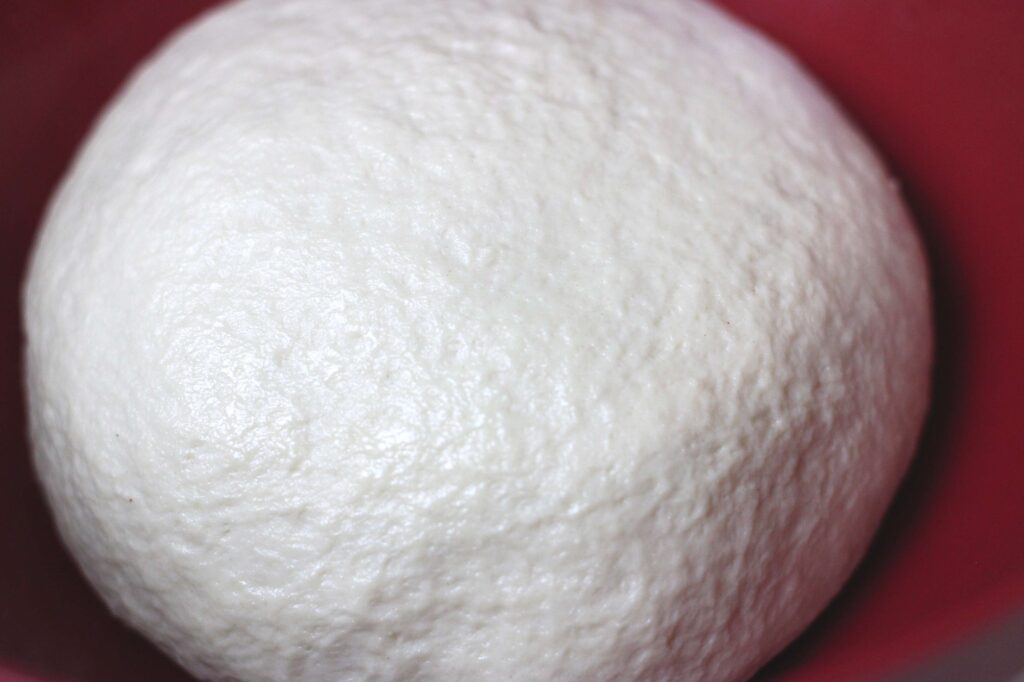 sourdough pizza dough 