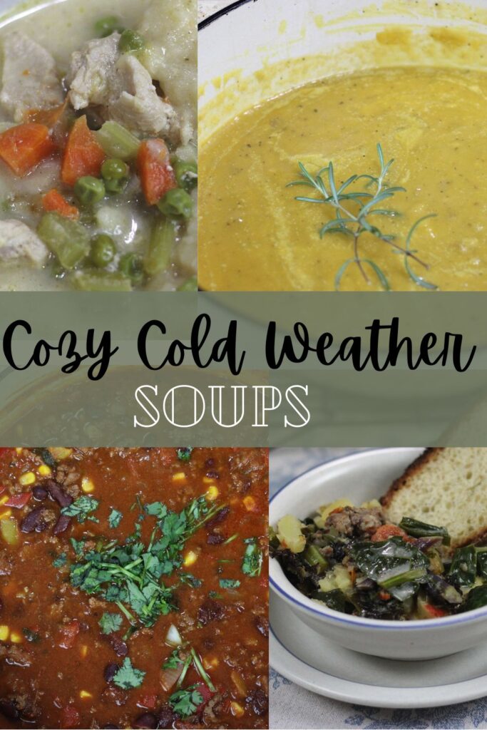 #cozycoldweathersoups #healthysouprecipes #bonebroth