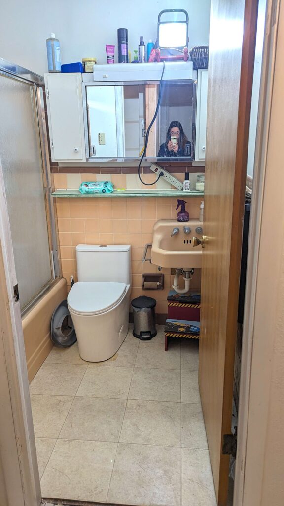 small hallway bathroom with original late 1950s tile and sink 