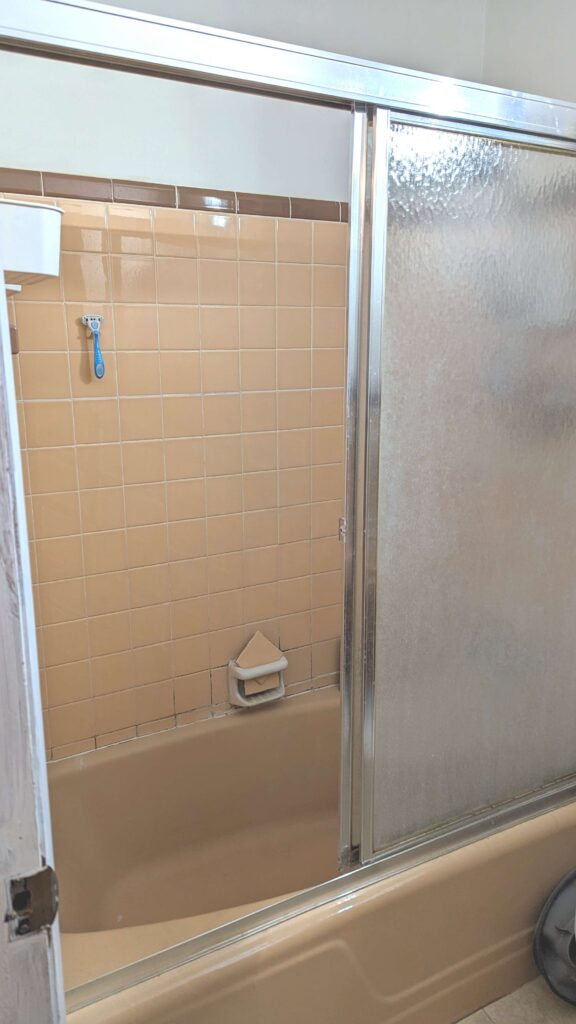before remodel picture of common bath 