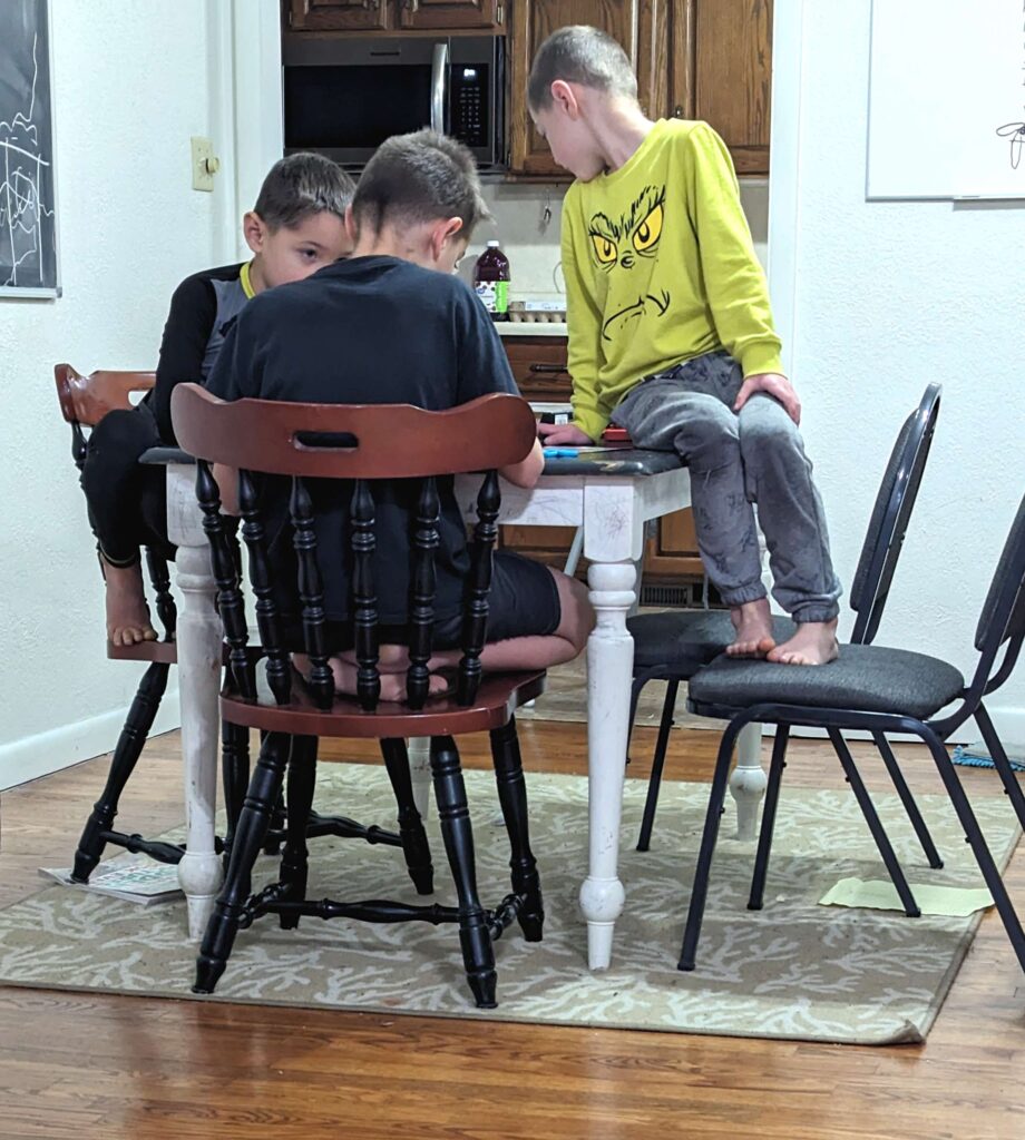 boys working on school, homeschooling