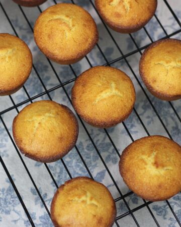 kefir cornbread muffins