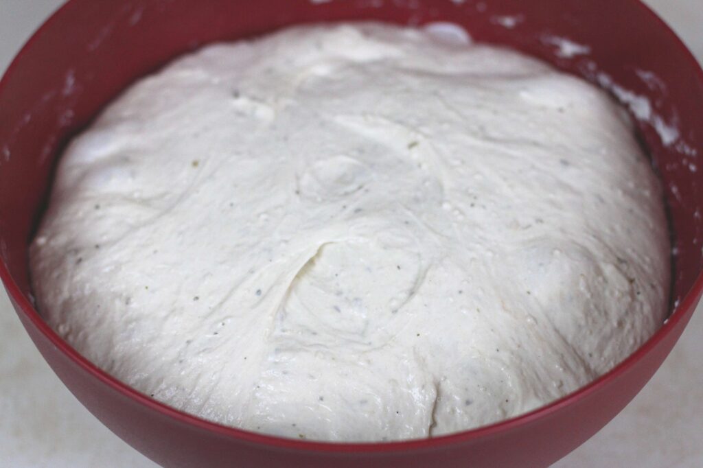sourdough flat bread dough doubled in size 