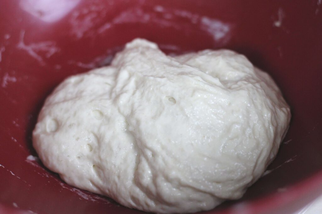 process shot of sourdough dough 
