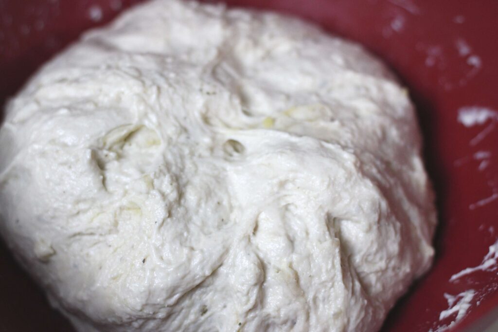 fermenting sourdough flat bread dough