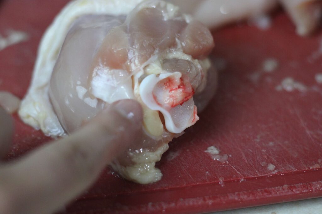 close up of chicken drumstick joint 