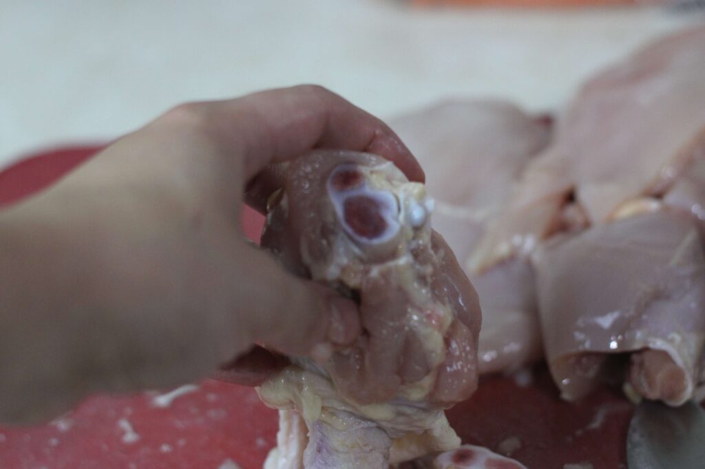 raw chicken drumstick 